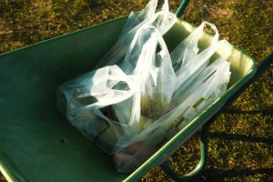 Shopping with reusable bags for eco-friendly habits