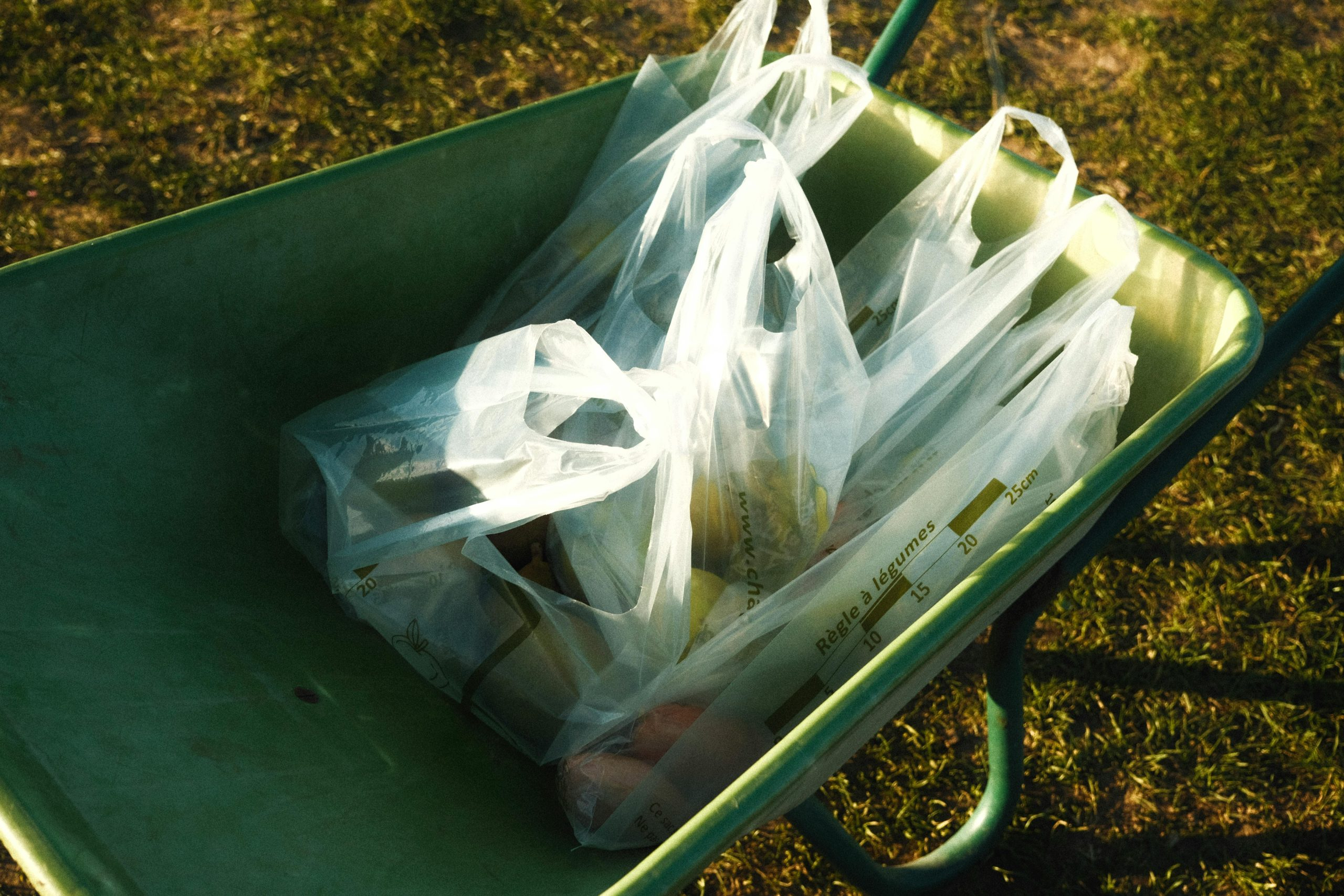 Shopping with reusable bags for eco-friendly habits