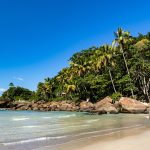 The Rise of Eco-Friendly Resorts in Tropical Paradises