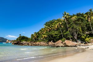 The Rise of Eco-Friendly Resorts in Tropical Paradises