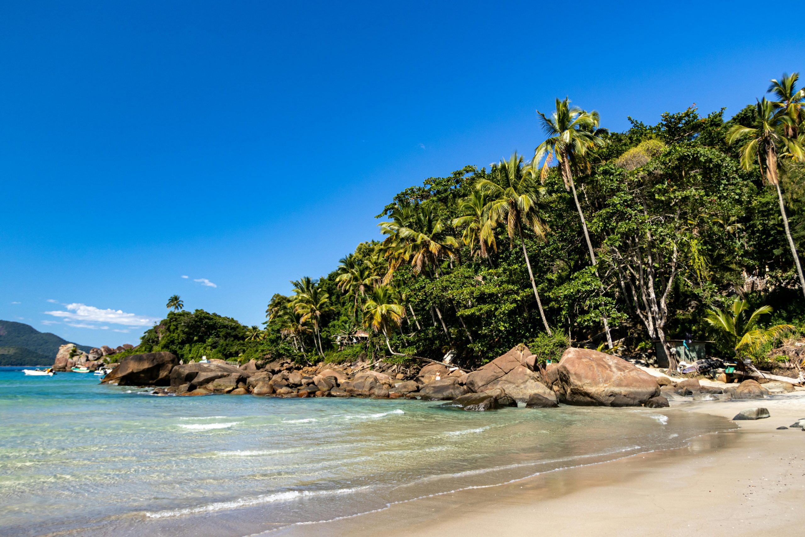 The Rise of Eco-Friendly Resorts in Tropical Paradises