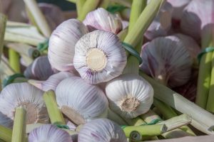 Cooking With Herbs Grown Fresh From Your Garden