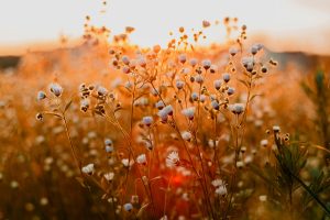 Avoiding seasonal hype with year-round essentials focus