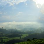 Seasonal Travel Ideas for Year-Round Adventure Seekers