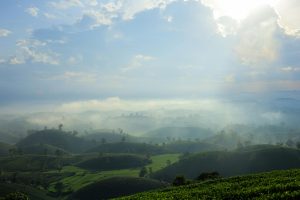 Seasonal Travel Ideas for Year-Round Adventure Seekers