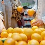 Consumer Rights in the Digital Marketplace