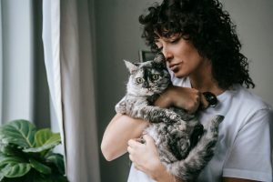 Next-Level Pet Gadgets Making Animal Care Easier