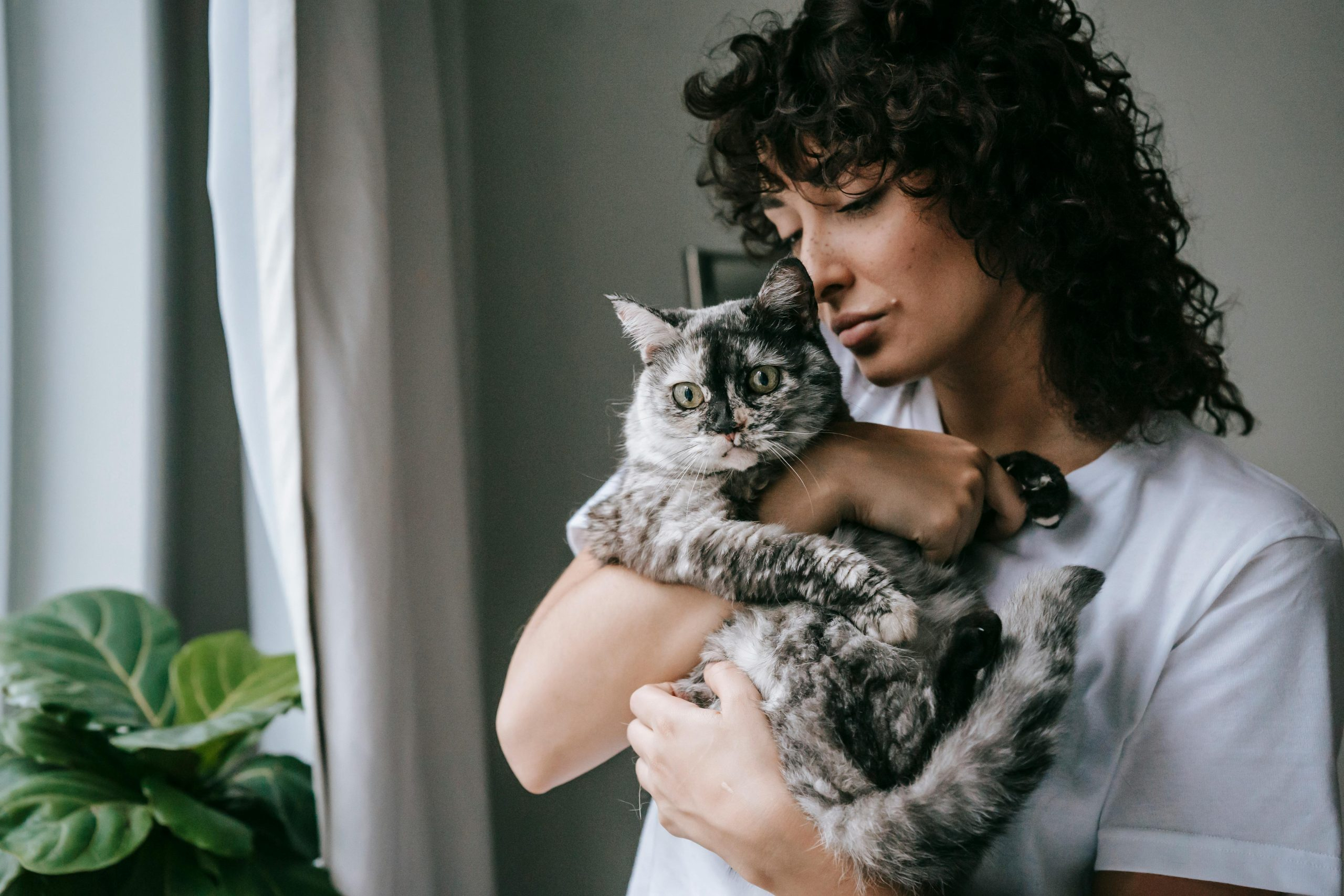 Next-Level Pet Gadgets Making Animal Care Easier