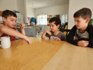 Collaborative Projects Bridging Science and Social Studies